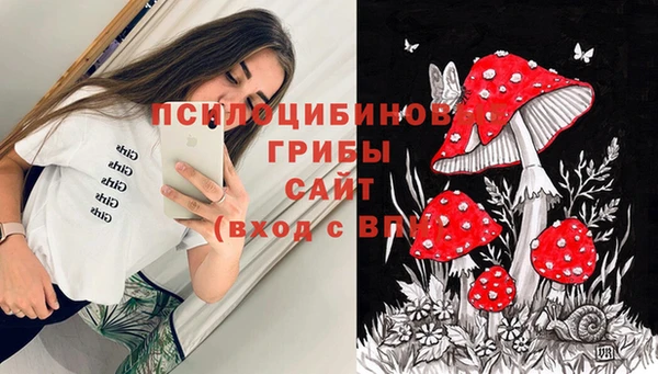 спиды Костерёво