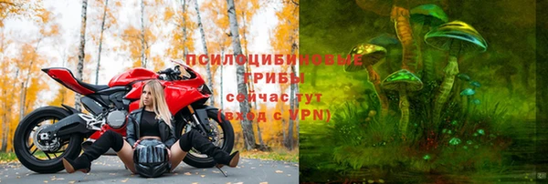 мет Корсаков